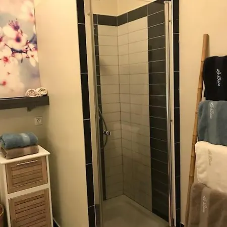Le P'tit Nid Apartment